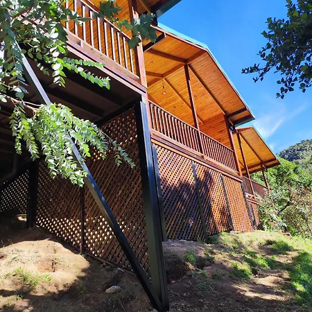Cabinas El Quetzal San Gerardo de Dota Exterior photo