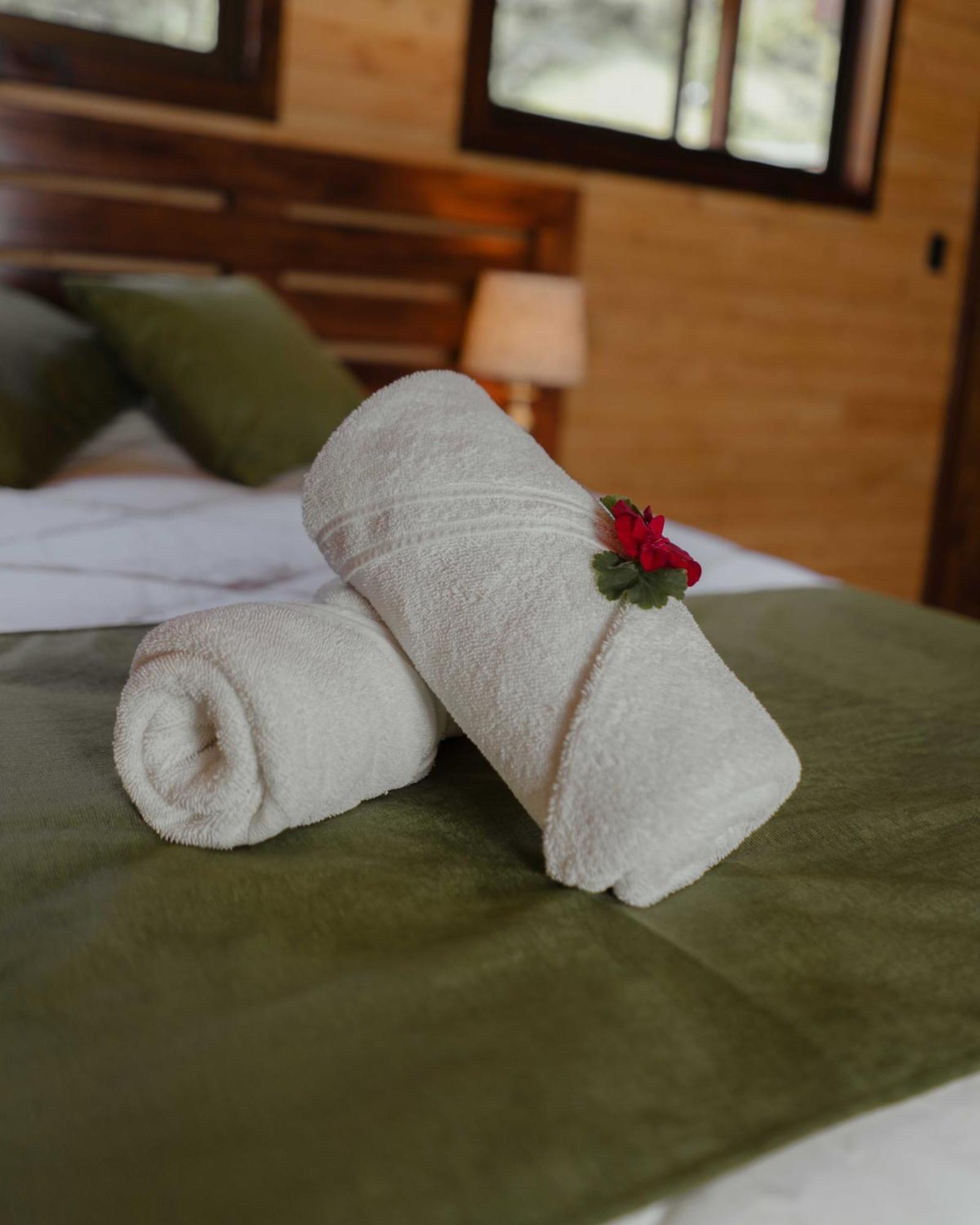 Cabinas El Quetzal Lodge San Gerardo de Dota